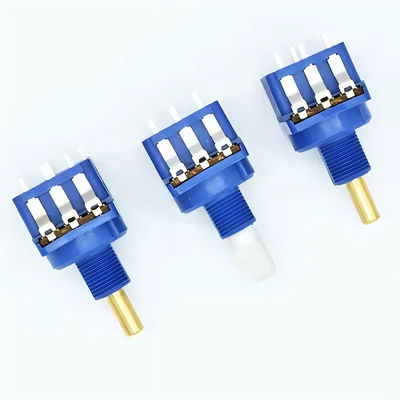 WH116AK-serie Dimmer dual control potentiometer B500K 5-pin met roterende schakelaar halve as handvatlengte 16MM
