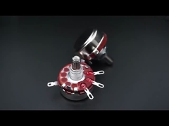 WTH118-2W 100k Dual Gang Potentiometer met Switch Carbon Linear Variable Turn