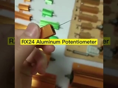 RX24 Gold Aluminium Case Resistor Hoog vermogen 25W 50W 100W 200W 300W Car Current Limiting Load Element
